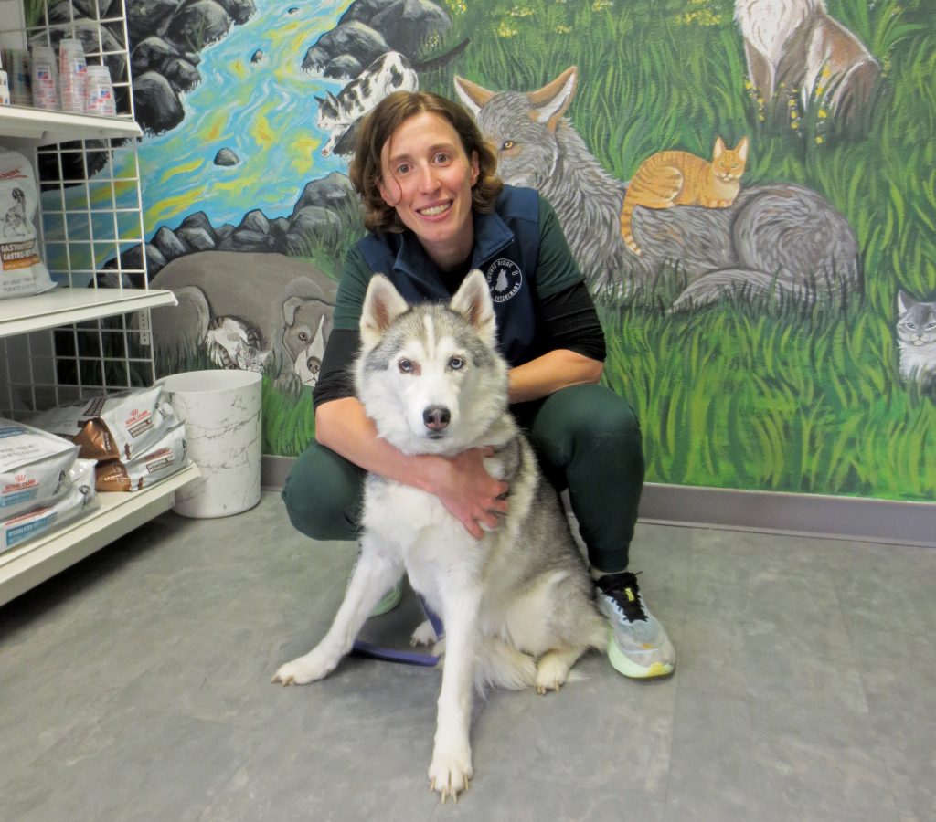 Dr. Albane Fauron kneeling with a husky in the clinic